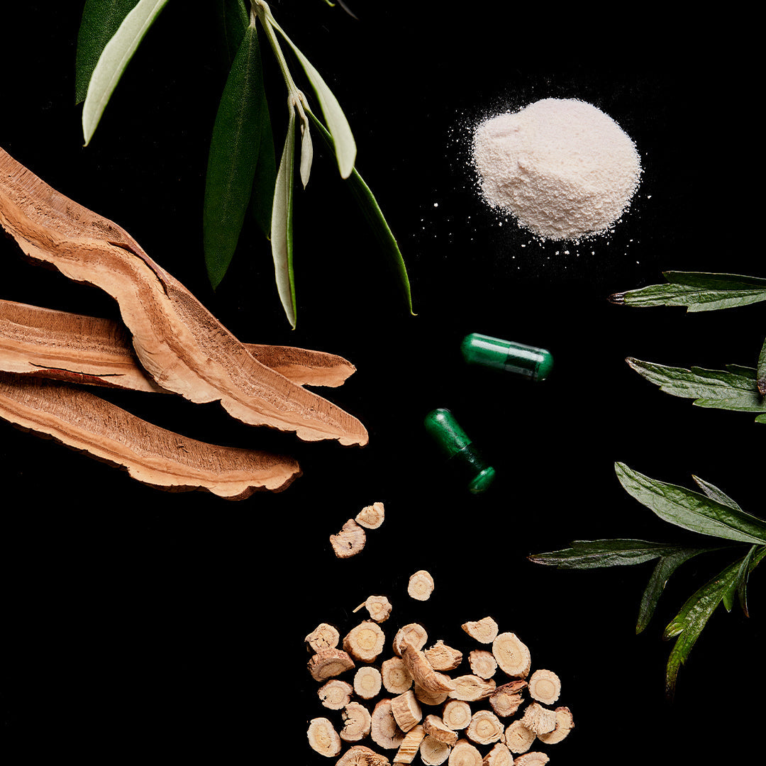 The Immune Elixir